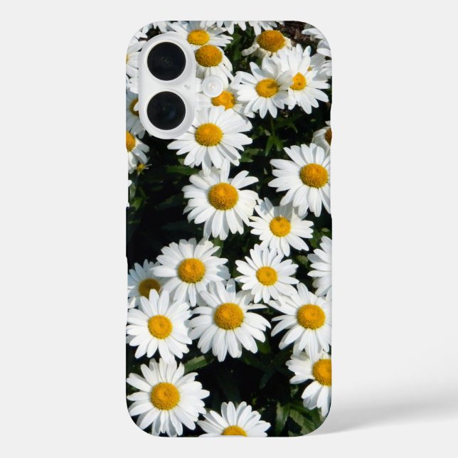 Little Daisy iPhone  Case (Back)