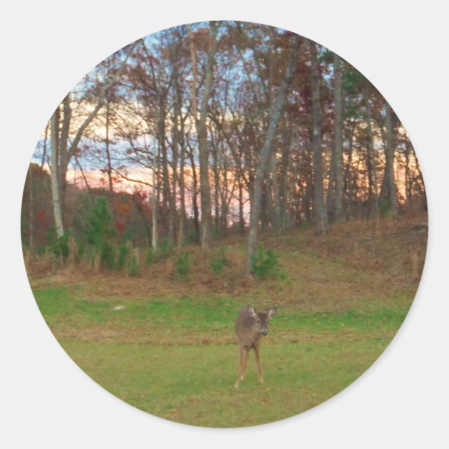 Little Deer &a Pink Sunset Classic Round Sticker (Front)