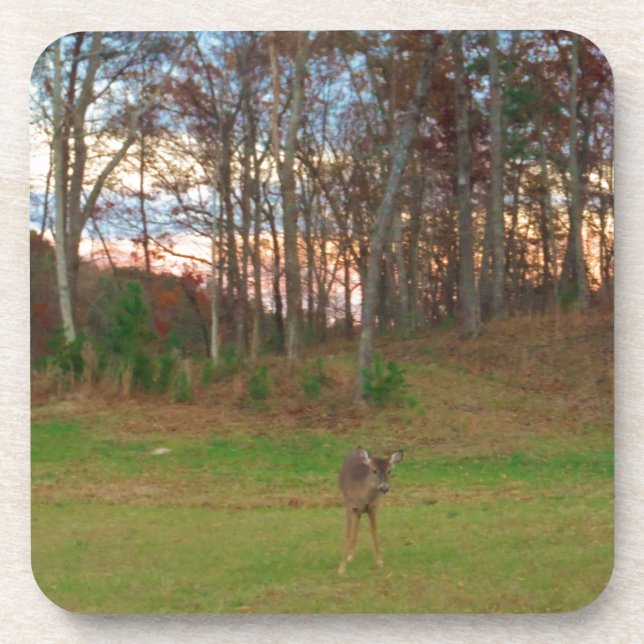 Little Deer &a Pink Sunset Coaster (Front)