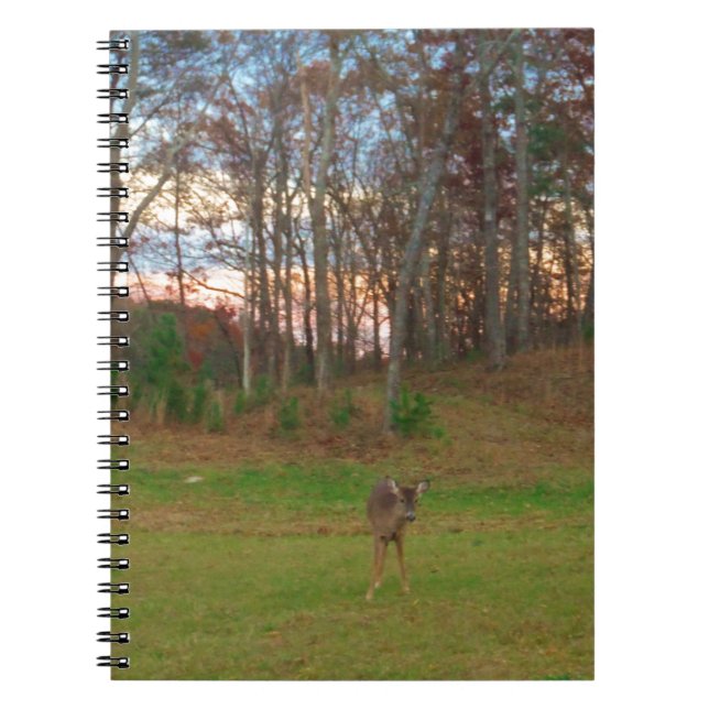 Little Deer &a Pink Sunset Notebook (Front)
