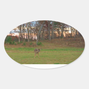 Little Deer &a Pink Sunset Oval Sticker