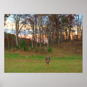 Little Deer & a Pink SunSet Poster
