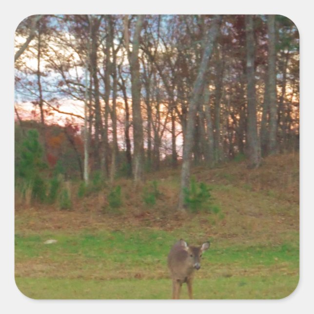 Little Deer &a Pink Sunset Square Sticker (Front)