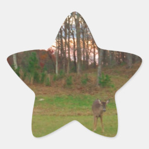 Little Deer &a Pink Sunset Star Sticker