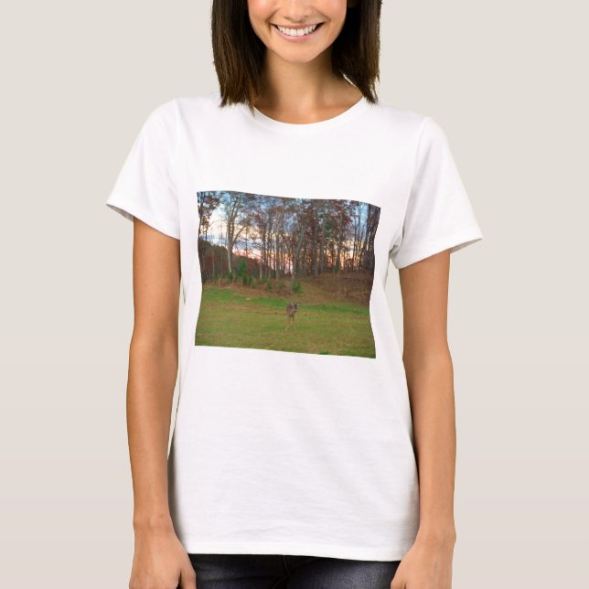 Little Deer &a Pink Sunset T-Shirt (Front)