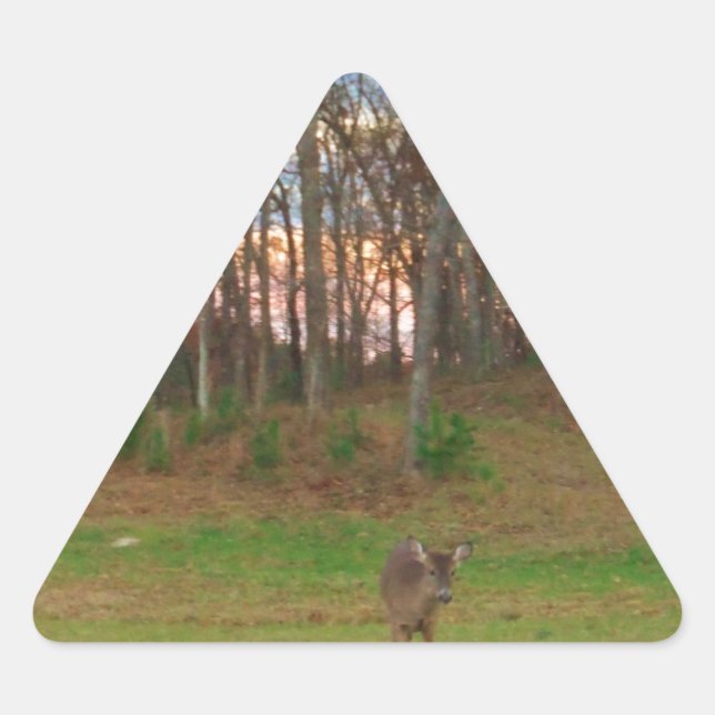 Little Deer &a Pink Sunset Triangle Sticker (Front)