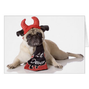 Little Devil Pug Card