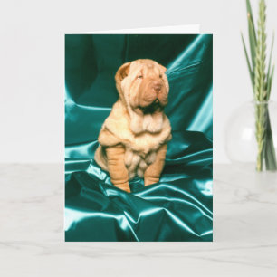 Little Diva Greeting Card