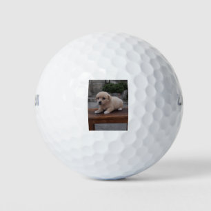 little dog golf balls
