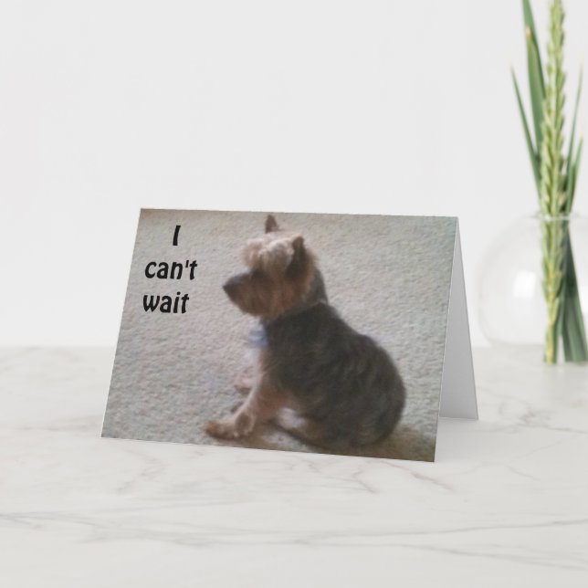 LITTLE DOG WITH BIG BIRTHDAY WISH CARD (Front)