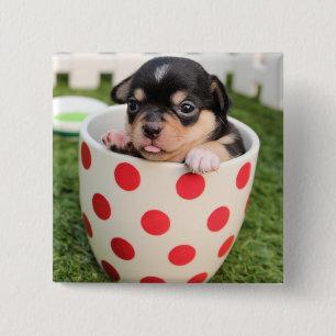 Little doggy in the cup 15 cm square badge
