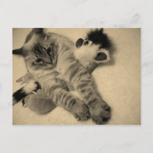 little doll postcard