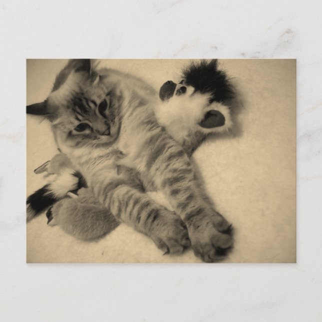 little doll postcard (Front)