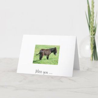 LITTLE DONKEY, Miss you... Card