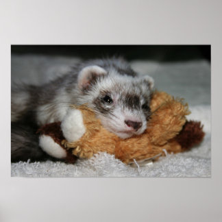 Little Dooks Penny Poster