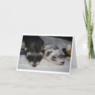 Little Dooks Sleepers Greetings Cards