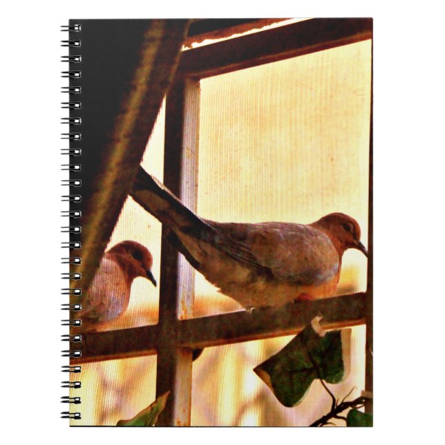 Little Doves Notebook (Front)