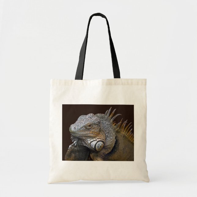 Little Dragon Bag (Front)