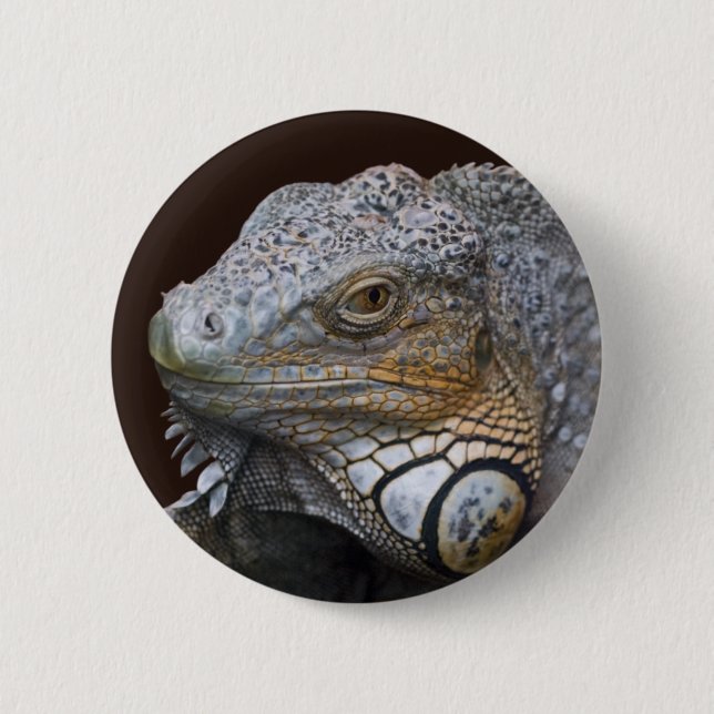 Little Dragon Bag 6 Cm Round Badge (Front)