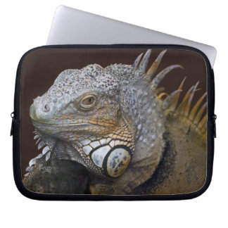 Little Dragon Laptop Sleeve