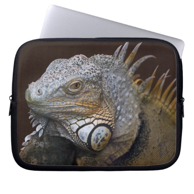 Little Dragon Laptop Sleeve (Front)