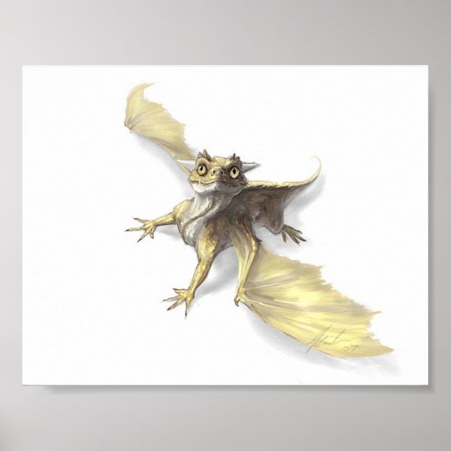 Little dragon poster (Front)