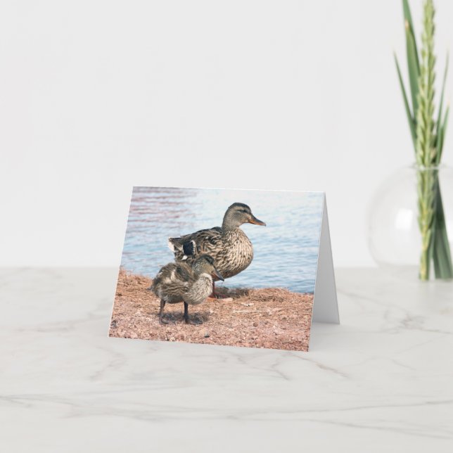 Little Ducklings at the Pond Card (Front)