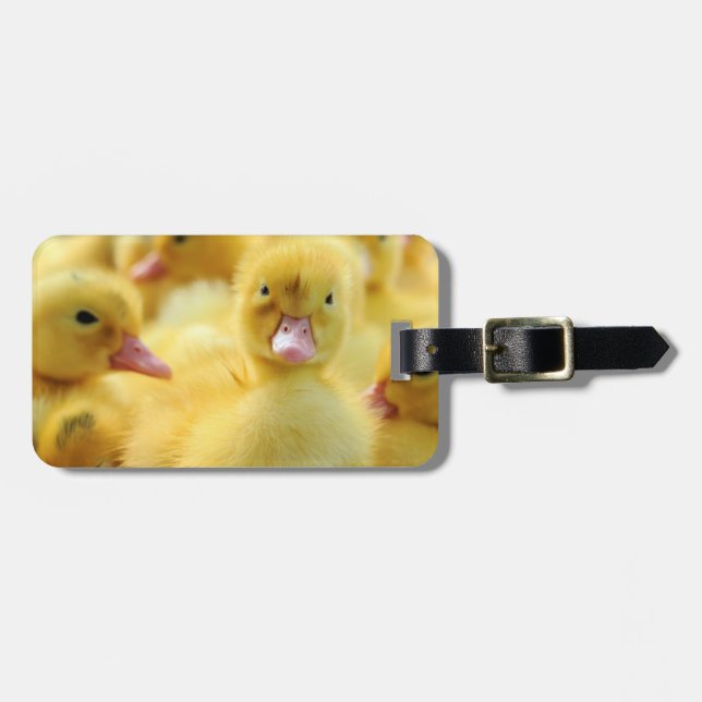 Little Ducks Luggage Tag (Front Horizontal)