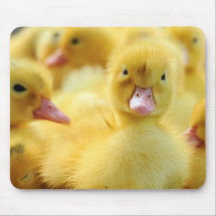 Little Ducks Mouse Mat