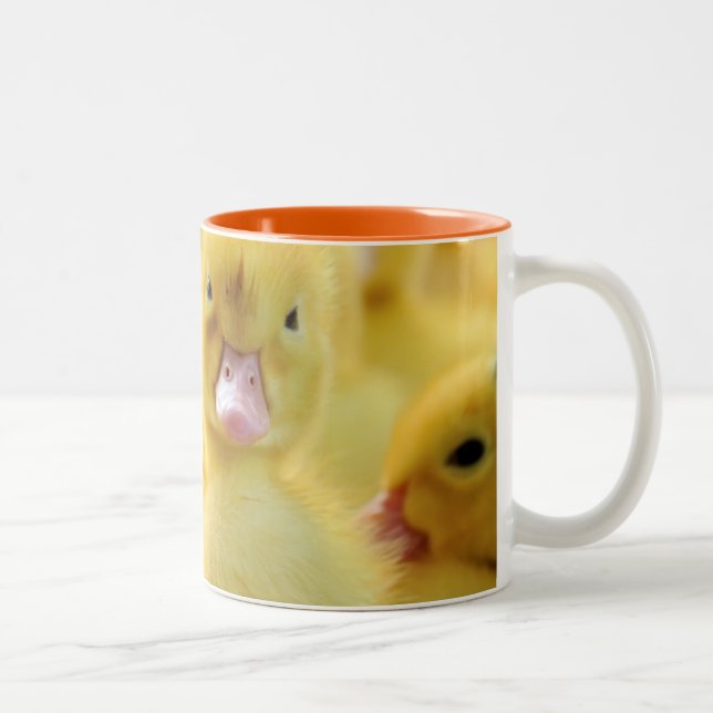 Little Ducks Two-Tone Coffee Mug (Right)