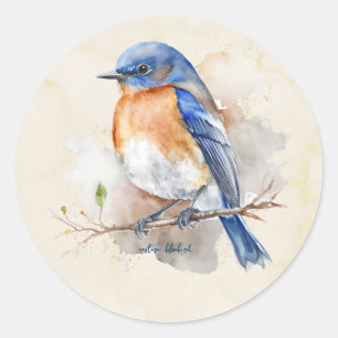 Little Eastern Bluebird Watercolor Classic Round Sticker