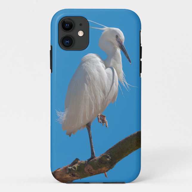 Little Egret iPhone 5 Case (Back)