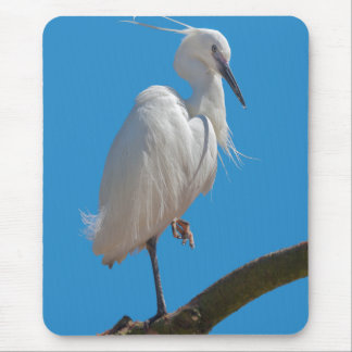 Little Egret Mousemat