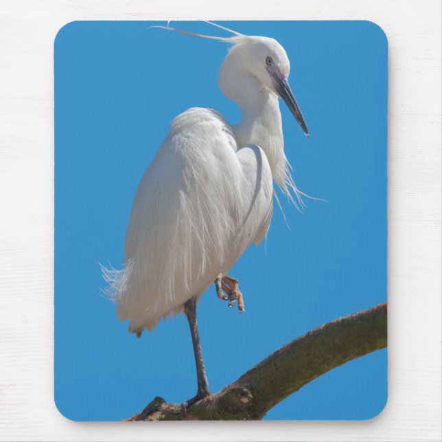 Little Egret Mousemat (Front)