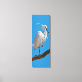 Little Egret Wrapped Canvas