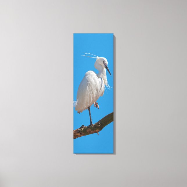 Little Egret Wrapped Canvas (Front)