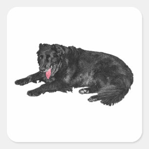 Little Ember, Loyal Black Dog Square Sticker