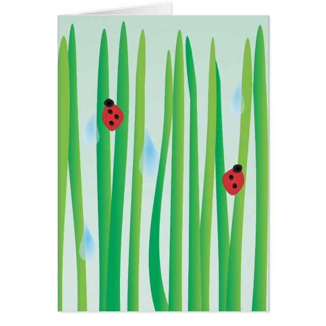 Little Fellas... (Front)