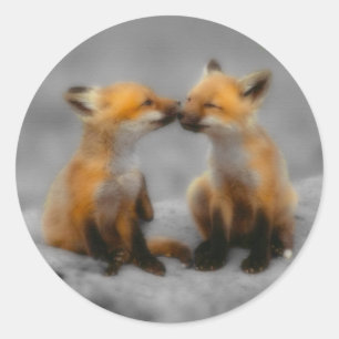 Little Fox Love Classic Round Sticker