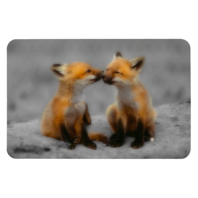 Little Fox Love Magnet (Horizontal)