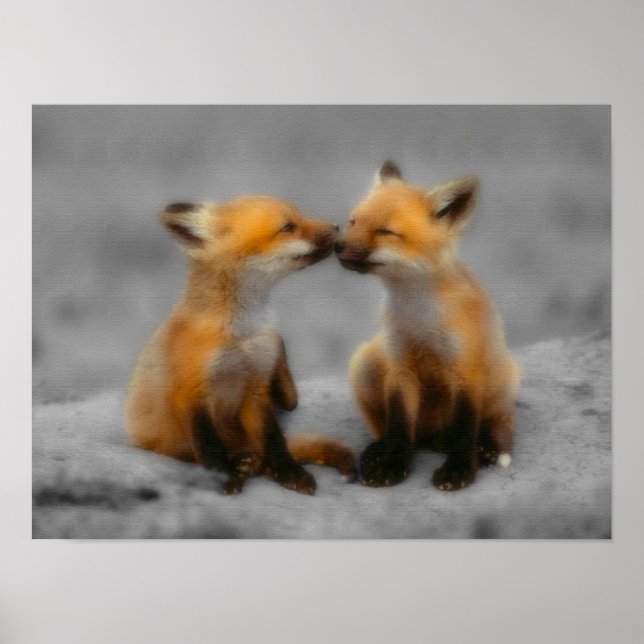 Little Fox Love Poster (Front)
