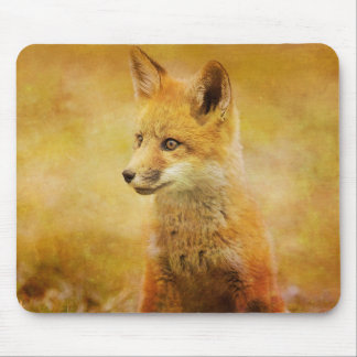 Little Fox Mouse pad