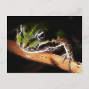Little Frog Postcard