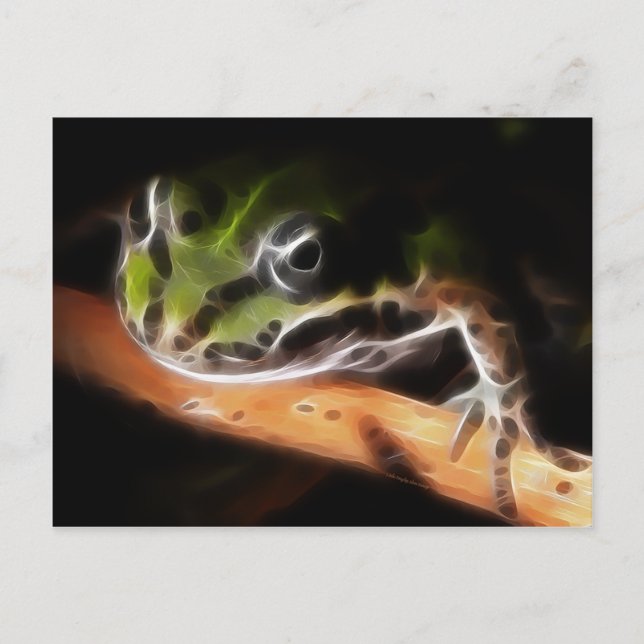 Little Frog Postcard (Front)