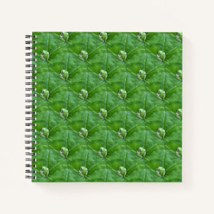 Little frogs... notebook