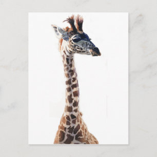 "Little Giraffe" Wildlife Animal Watercolor Postcard
