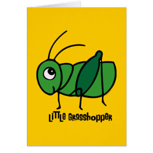 Little Grasshopper