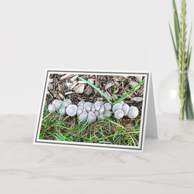 Little Gray Mushrooms In Garden After Rainy Night Card (Front)