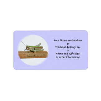 Little Green Grasshopper Cartoon Label