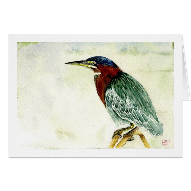 Little Green Heron (Front Horizontal)